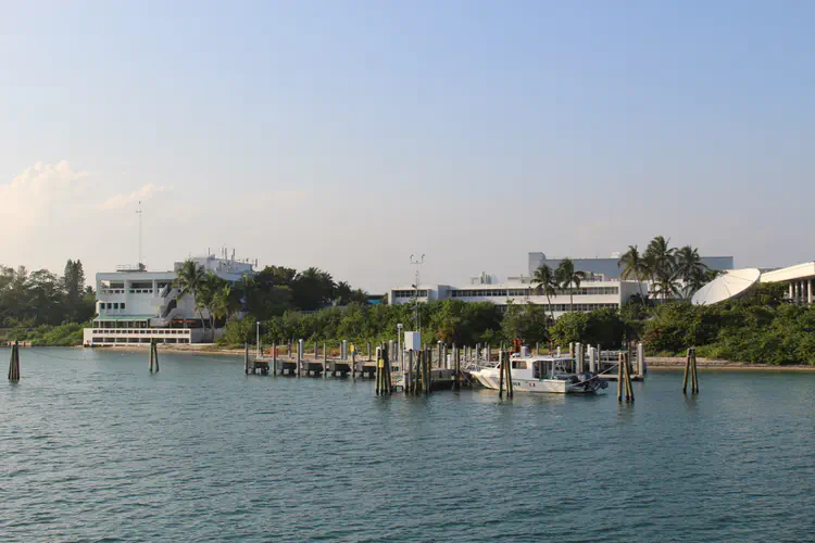 IMG_3424.jpg