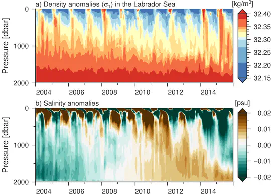 Deep convection in the Labrador Sea