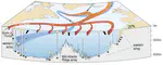 RAPID: Monitoring the meridional overturning circulation at 26°N